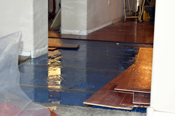 Professional Basement Water Removal technician working in Princeton, KS